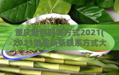 重庆新茶联系方式2021(2021重庆新茶联系方式大全)