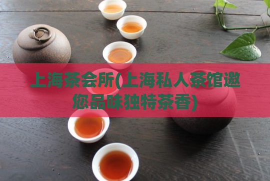 上海茶会所(上海私人茶馆邀您品味独特茶香)