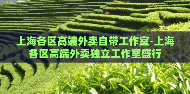 上海各区高端外卖自带工作室-上海各区高端外卖独立工作室盛行