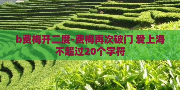 b费梅开二度-费梅再次破门 爱上海不超过20个字符