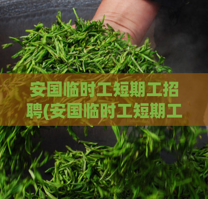 安国临时工短期工招聘(安国临时工短期工急聘)