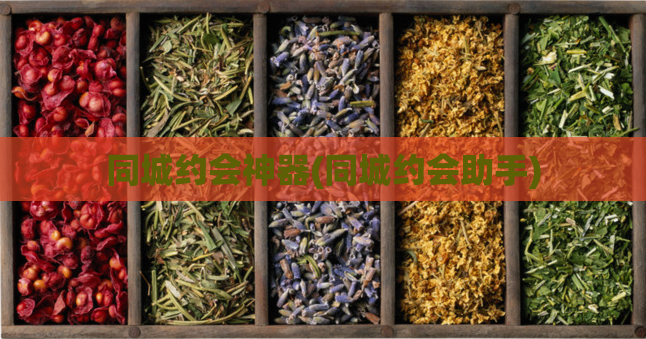同城约会神器(同城约会助手)