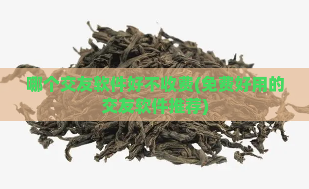 哪个交友软件好不收费(免费好用的交友软件推荐)