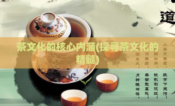 茶文化的核心内涵(探寻茶文化的精髓)