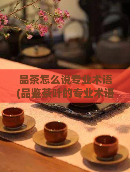 品茶怎么说专业术语(品鉴茶叶的专业术语，让你更懂茶的味道)