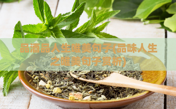 品酒品人生唯美句子(品味人生之唯美句子赏析)
