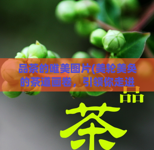 品茶的唯美图片(美轮美奂的茶道画卷，引领你走进品茶之旅)