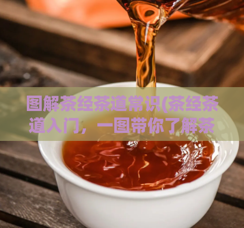 图解茶经茶道常识(茶经茶道入门，一图带你了解茶文化！)