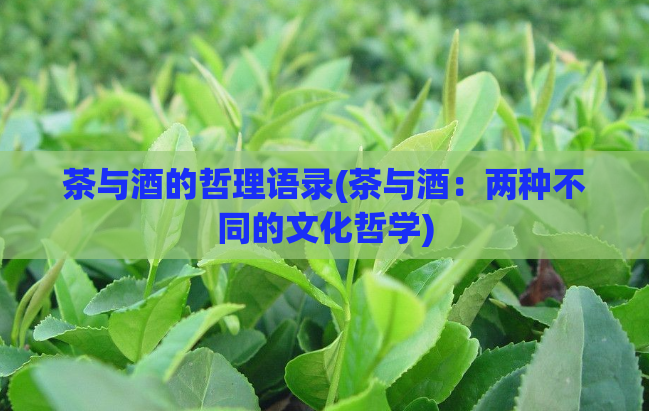 茶与酒的哲理语录(茶与酒：两种不同的文化哲学)