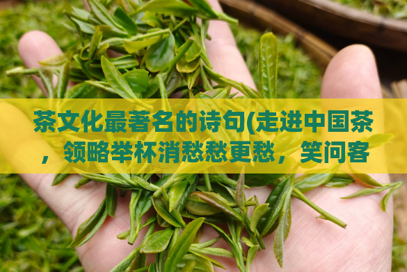 茶文化最著名的诗句(走进中国茶，领略举杯消愁愁更愁，笑问客从何处来)