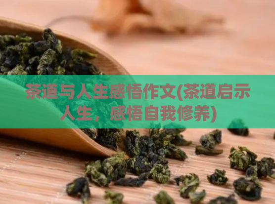 茶道与人生感悟作文(茶道启示人生，感悟自我修养)