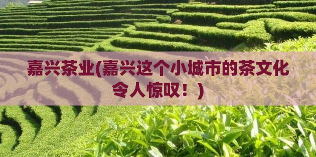 嘉兴茶业(嘉兴这个小城市的茶文化令人惊叹！)