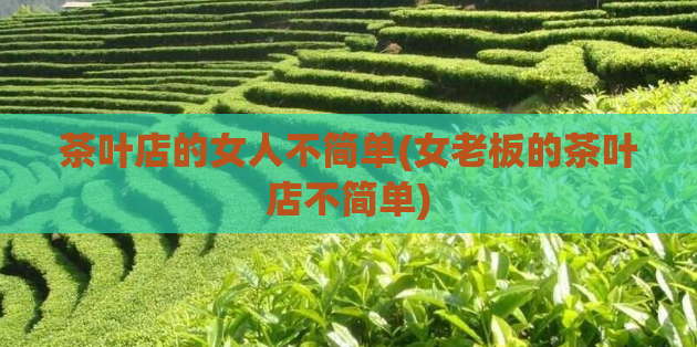 茶叶店的女人不简单(女老板的茶叶店不简单)