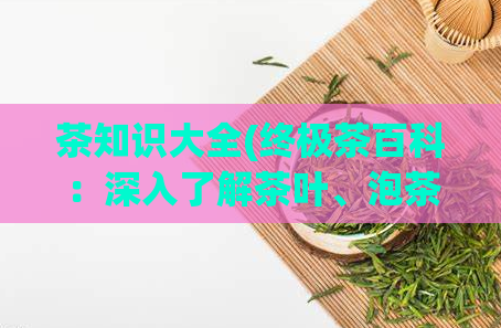 茶知识大全(终极茶百科：深入了解茶叶、泡茶和茶艺的全面指南)