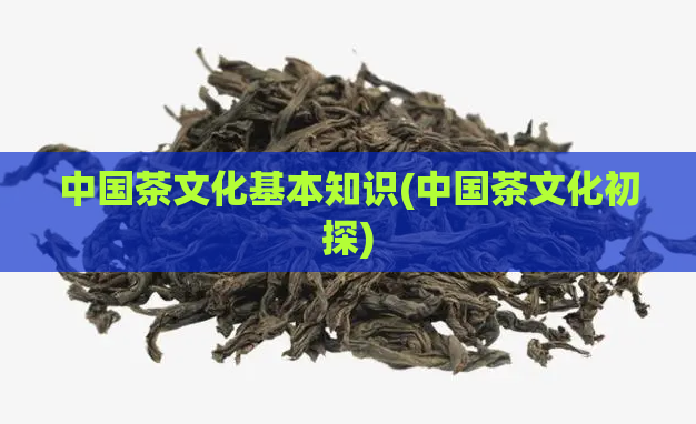 中国茶文化基本知识(中国茶文化初探)