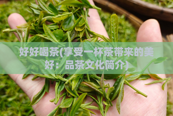好好喝茶(享受一杯茶带来的美好：品茶文化简介)
