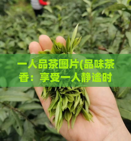 一人品茶图片(品味茶香：享受一人静谧时光)