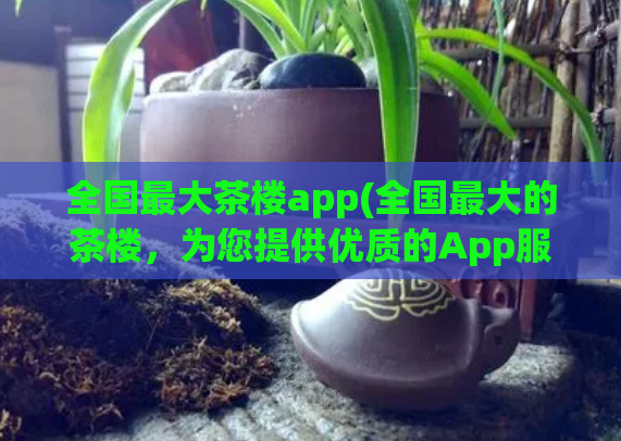 全国最大茶楼app(全国最大的茶楼，为您提供优质的App服务)