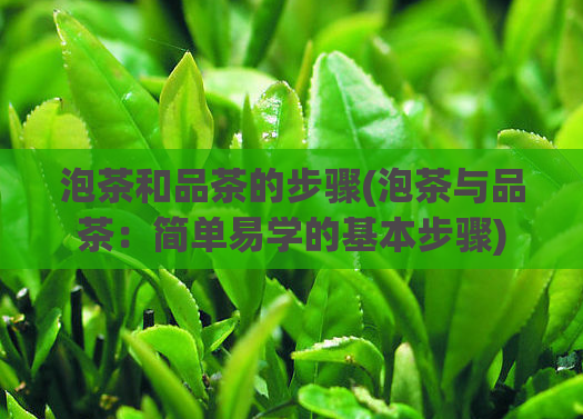 泡茶和品茶的步骤(泡茶与品茶：简单易学的基本步骤)