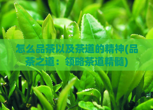 怎么品茶以及茶道的精神(品茶之道：领略茶道精髓)