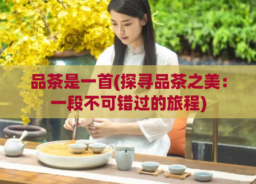 品茶是一首(探寻品茶之美：一段不可错过的旅程)