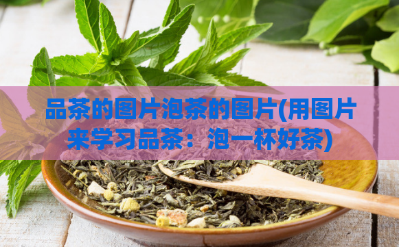 品茶的图片泡茶的图片(用图片来学习品茶：泡一杯好茶)