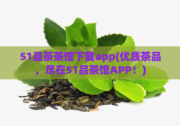 51品茶茶馆下载app(优质茶品，尽在51品茶馆APP！)