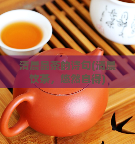 清晨品茶的诗句(清晨饮茶，悠然自得)
