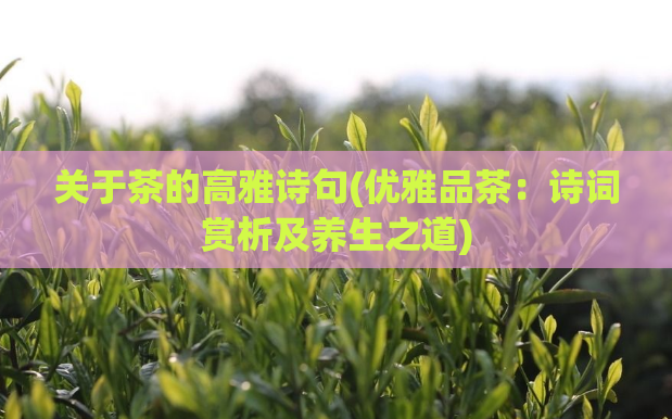 关于茶的高雅诗句(优雅品茶：诗词赏析及养生之道)