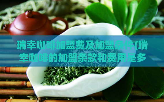 瑞幸咖啡加盟费及加盟条件(瑞幸咖啡的加盟条款和费用是多少？)