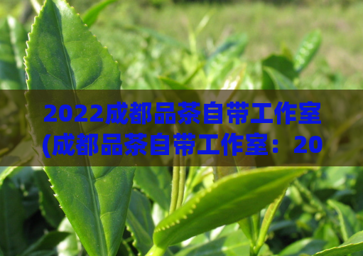 2022成都品茶自带工作室(成都品茶自带工作室：2022新兴网红打卡胜地)