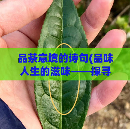 品茶意境的诗句(品味人生的滋味——探寻茶的意境之美)