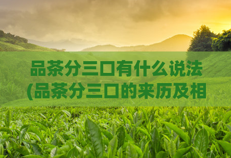 品茶分三口有什么说法(品茶分三口的来历及相关文化背景)
