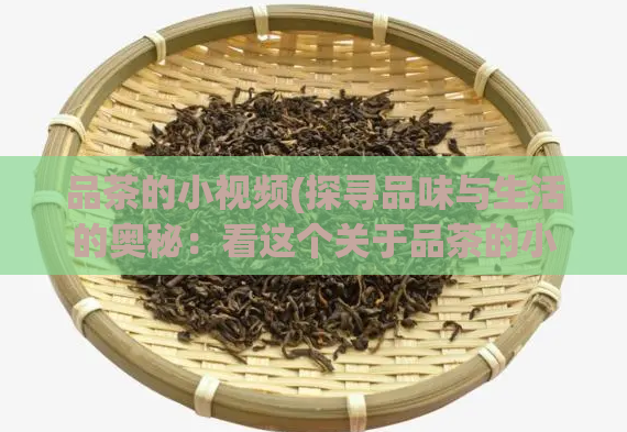 品茶的小视频(探寻品味与生活的奥秘：看这个关于品茶的小视频。)