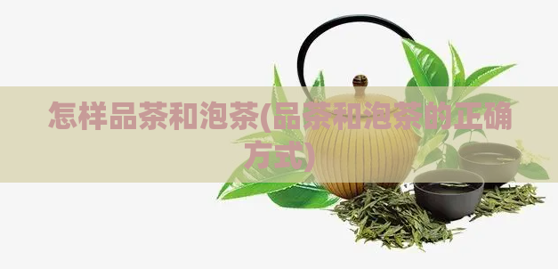 怎样品茶和泡茶(品茶和泡茶的正确方式)