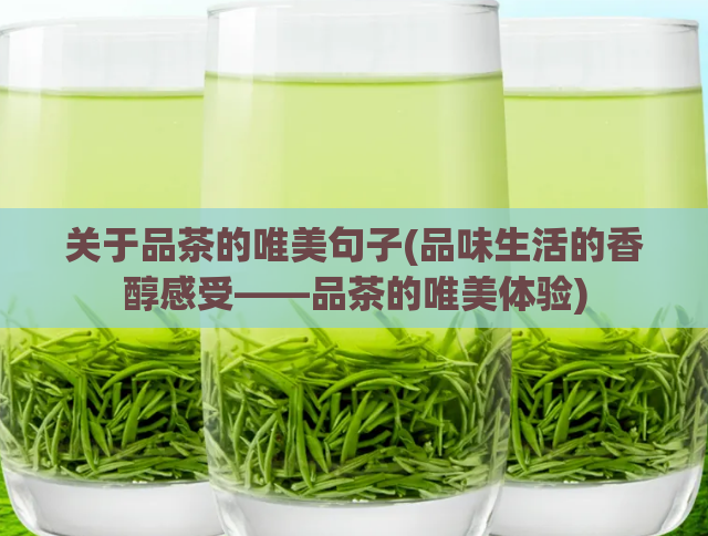 关于品茶的唯美句子(品味生活的香醇感受——品茶的唯美体验)