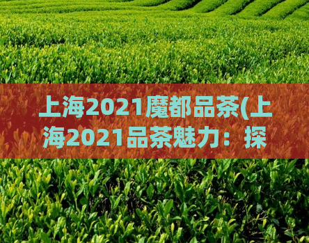 上海2021魔都品茶(上海2021品茶魅力：探寻魔都茶文化)
