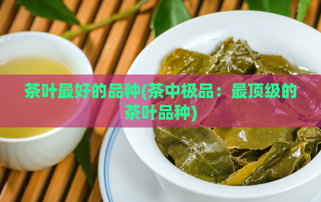 茶叶最好的品种(茶中极品：最顶级的茶叶品种)