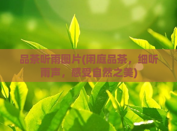 品茶听雨图片(闲庭品茶，细听雨声，感受自然之美)