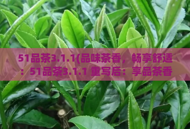 51品茶3.1.1(品味茶香，畅享舒适：51品茶3.1.1 重写后：享品茶香，暢逸舒適：51品茶3.1.1)