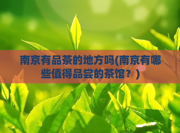 南京有品茶的地方吗(南京有哪些值得品尝的茶馆？)