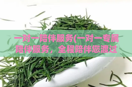 一对一陪伴服务(一对一专属陪伴服务，全程陪伴您渡过每个难关)