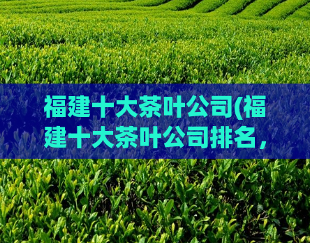 福建十大茶叶公司(福建十大茶叶公司排名，这家名列前茅！)