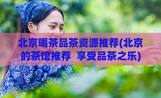 北京喝茶品茶资源推荐(北京的茶馆推荐  享受品茶之乐)