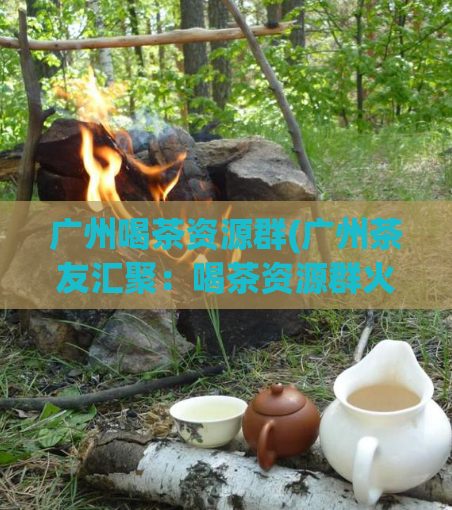 广州喝茶资源群(广州茶友汇聚：喝茶资源群火热开启！)
