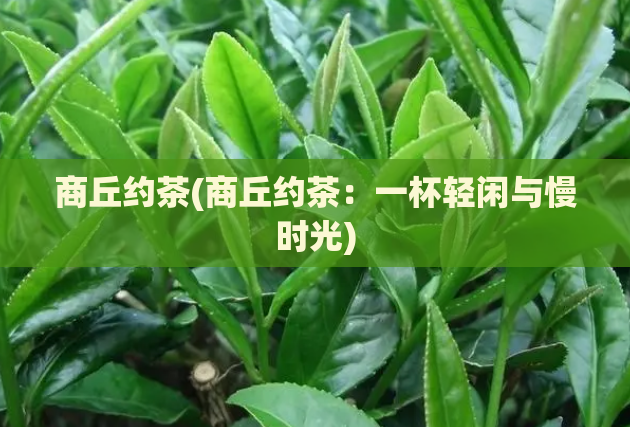 商丘约茶(商丘约茶：一杯轻闲与慢时光)