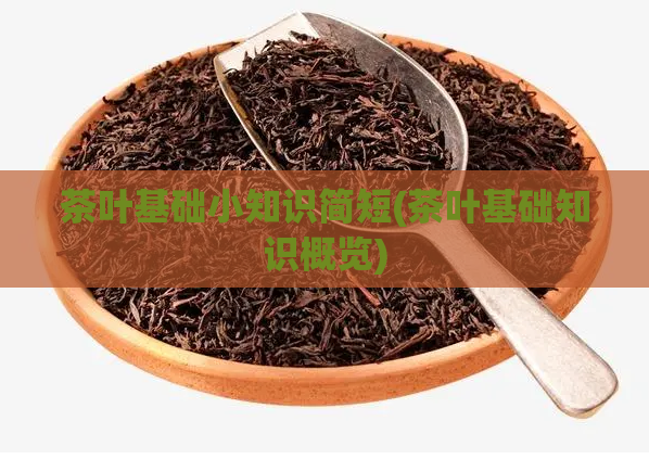 茶叶基础小知识简短(茶叶基础知识概览)