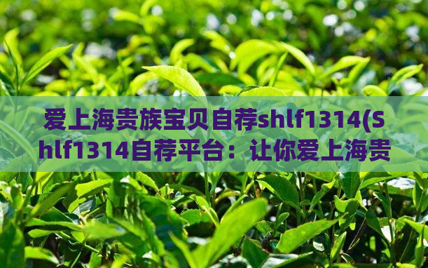 爱上海贵族宝贝自荐shlf1314(Shlf1314自荐平台：让你爱上海贵族宝贝)