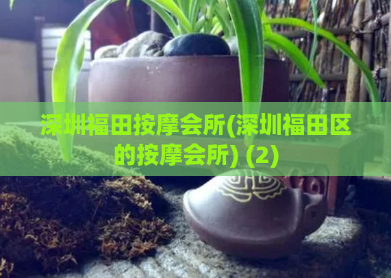 深圳福田按摩会所(深圳福田区的按摩会所) (2)