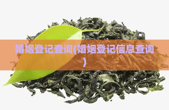 婚姻登记查询(婚姻登记信息查询)